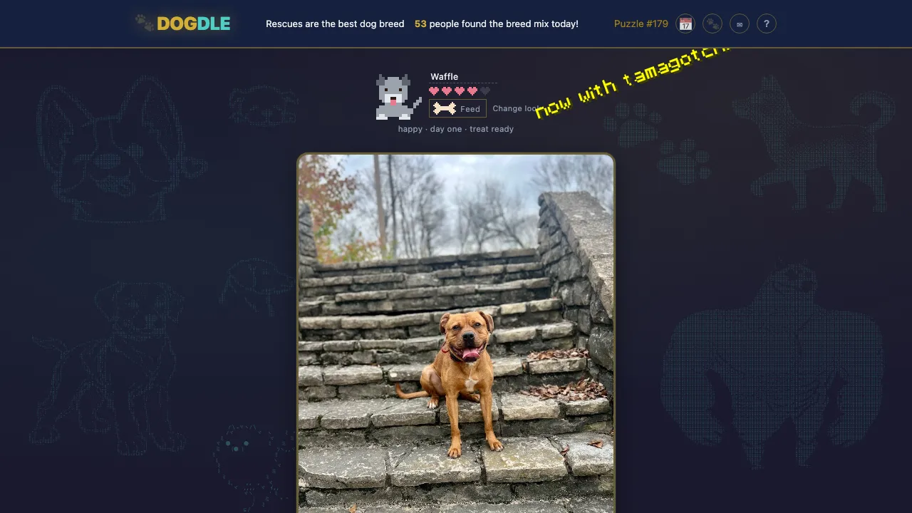 DOGDLE screenshot 1