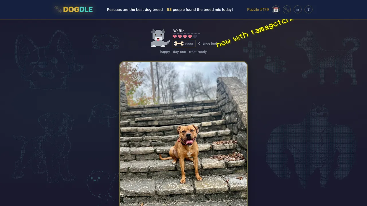 DOGDLE screenshot 3