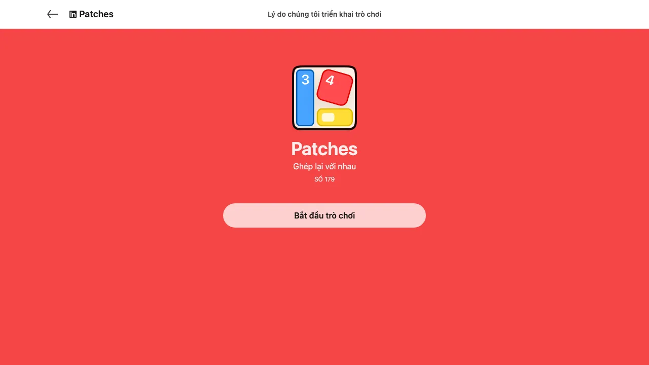 LinkedIn - Patches cover