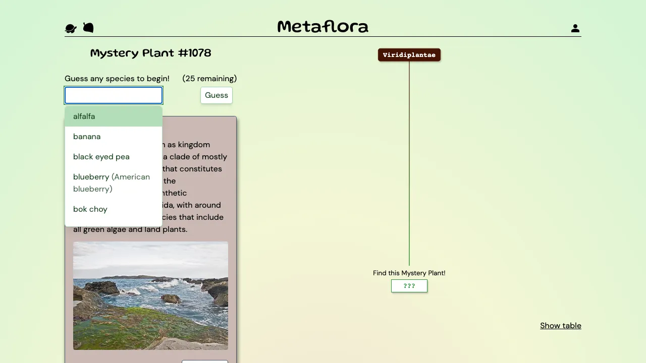 Metaflora screenshot 3