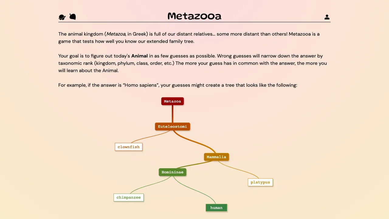 Metazooa cover