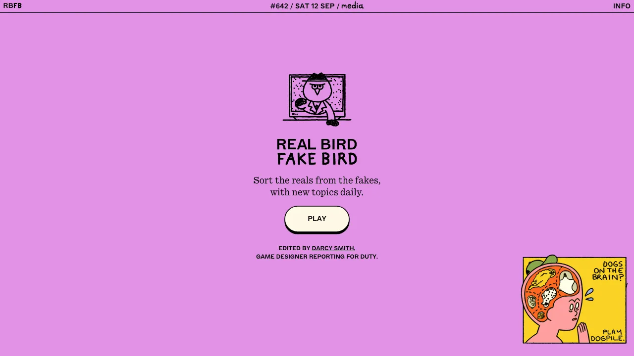 Real Bird Fake Bird screenshot 2